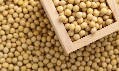 鸡蛋营养成分表100g-鸡蛋所有营养网- 鸡蛋营养价值高吗知识,分享鸡蛋营养在蛋白还是蛋黄